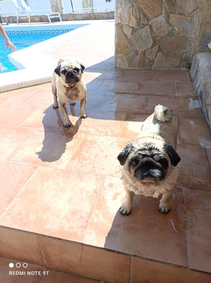 Apartment Costa Blanca Мучамел Екстериор снимка